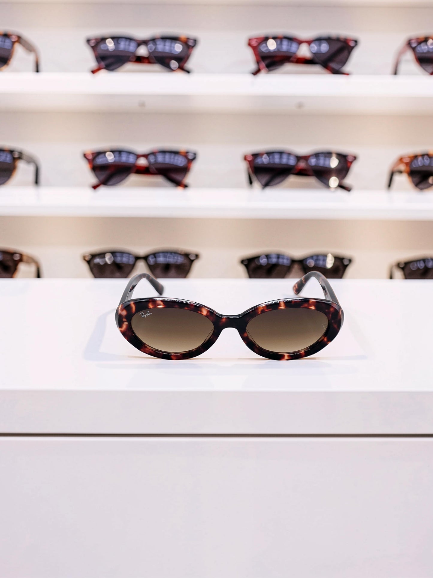 Occhiali da sole 2223 1449/51: Geometrie Bold in Marrone Trasparente e Sfumato