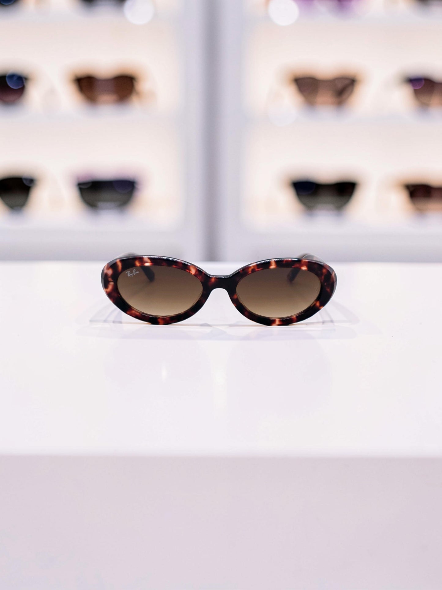 Occhiali da sole 2223 1449/51: Geometrie Bold in Marrone Trasparente e Sfumato