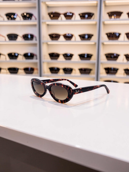 Occhiali da sole 2223 1449/51: Geometrie Bold in Marrone Trasparente e Sfumato