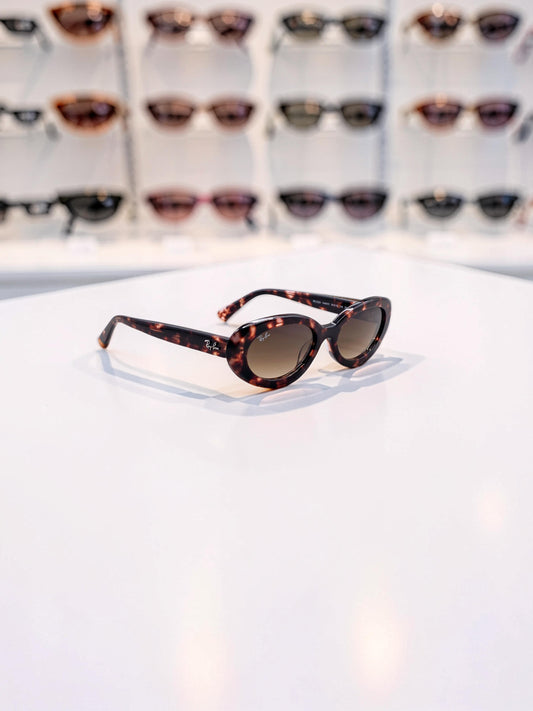 Occhiali da sole 2223 1449/51: Geometrie Bold in Marrone Trasparente e Sfumato