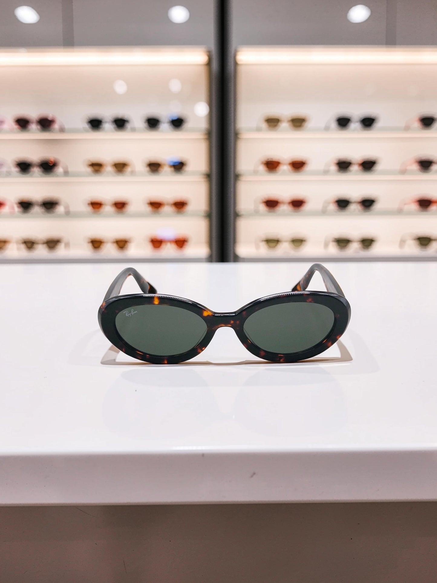 Occhiali da sole 2223 902/31 Tartaruga Havana - Lenti Verde G-15 – Taglia 54