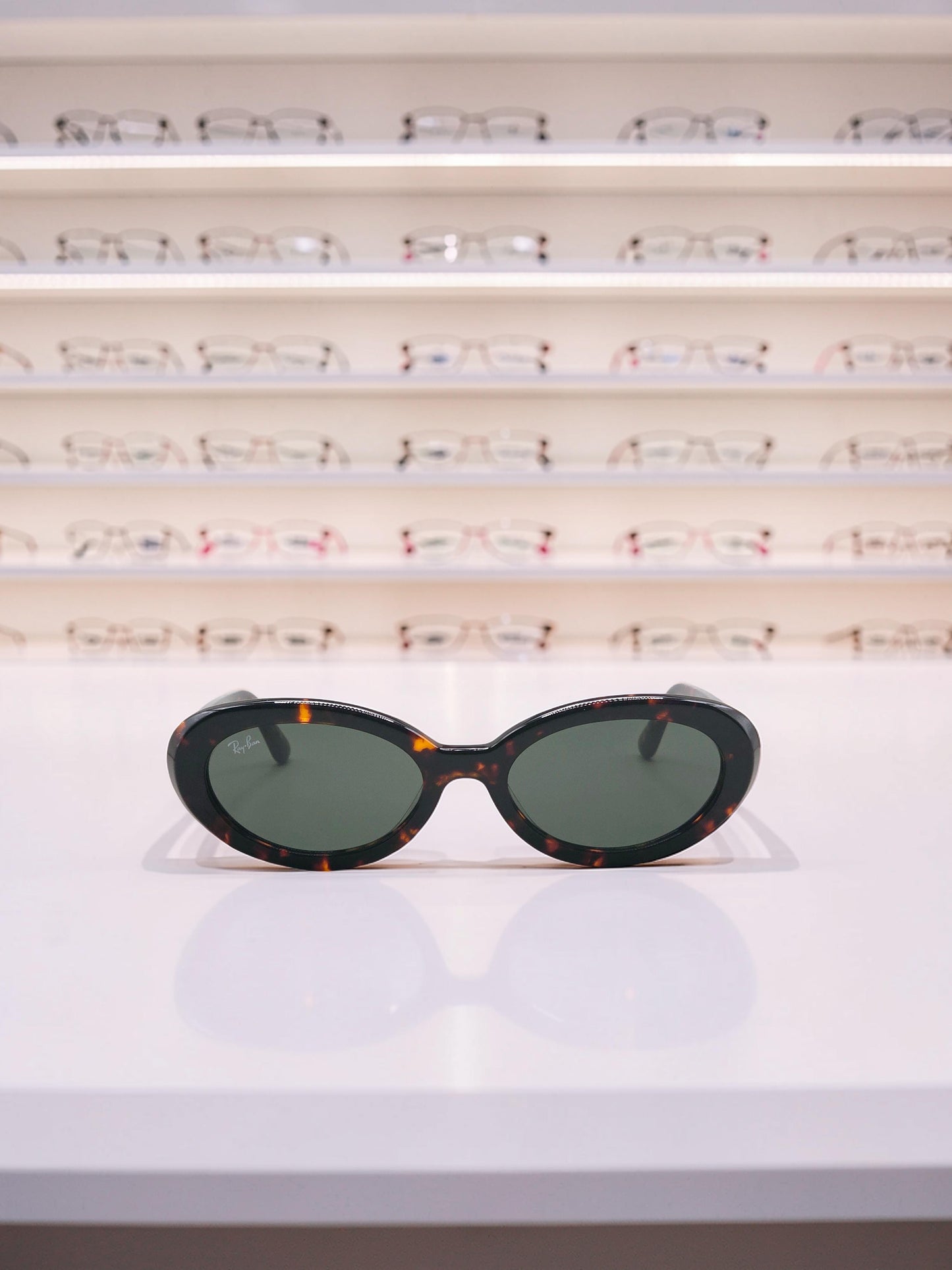 Occhiali da sole 2223 902/31 Tartaruga Havana - Lenti Verde G-15 – Taglia 54