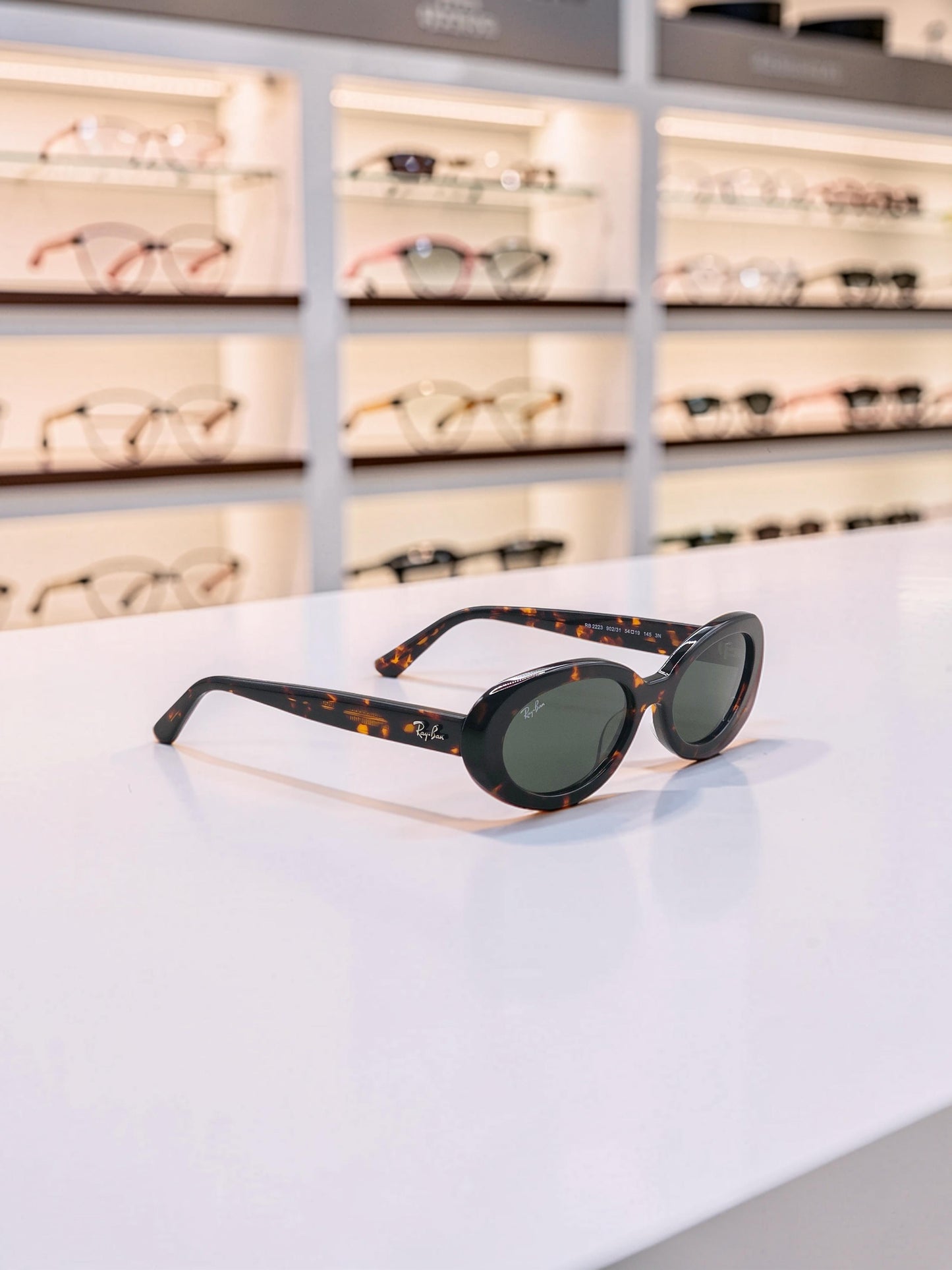 Occhiali da sole 2223 902/31 Tartaruga Havana - Lenti Verde G-15 – Taglia 54